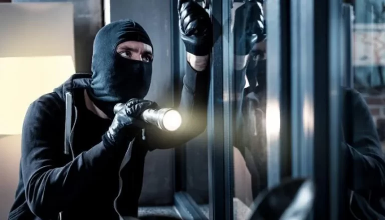 c81391a5-787f-3a1f-b648-ad8515be9d21_1200