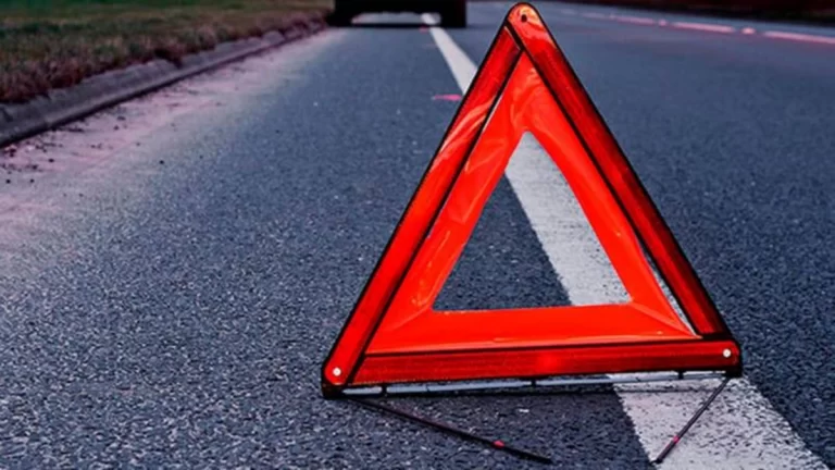 ceb8ec9a-366c-316b-9846-86705debbcbe_1200 (3)