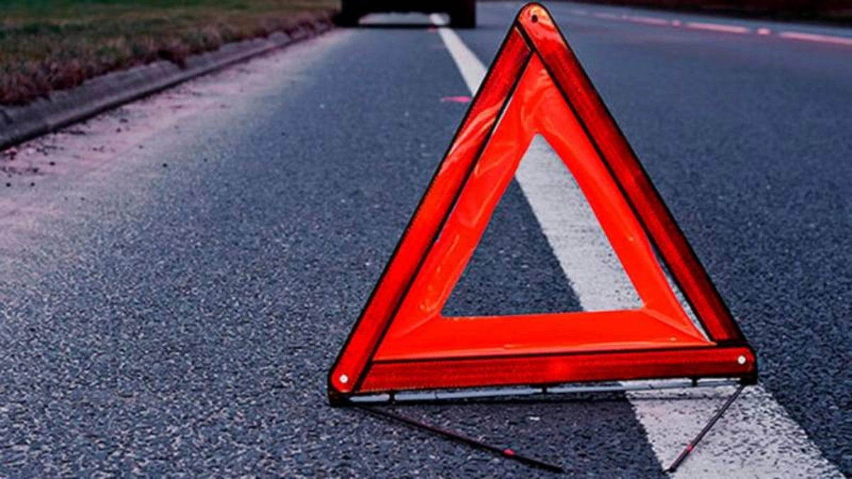 ceb8ec9a-366c-316b-9846-86705debbcbe_1200 (3)