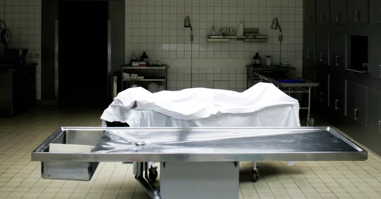 d0d188b3-3802-3c14-bff7-d4077f235650_1200