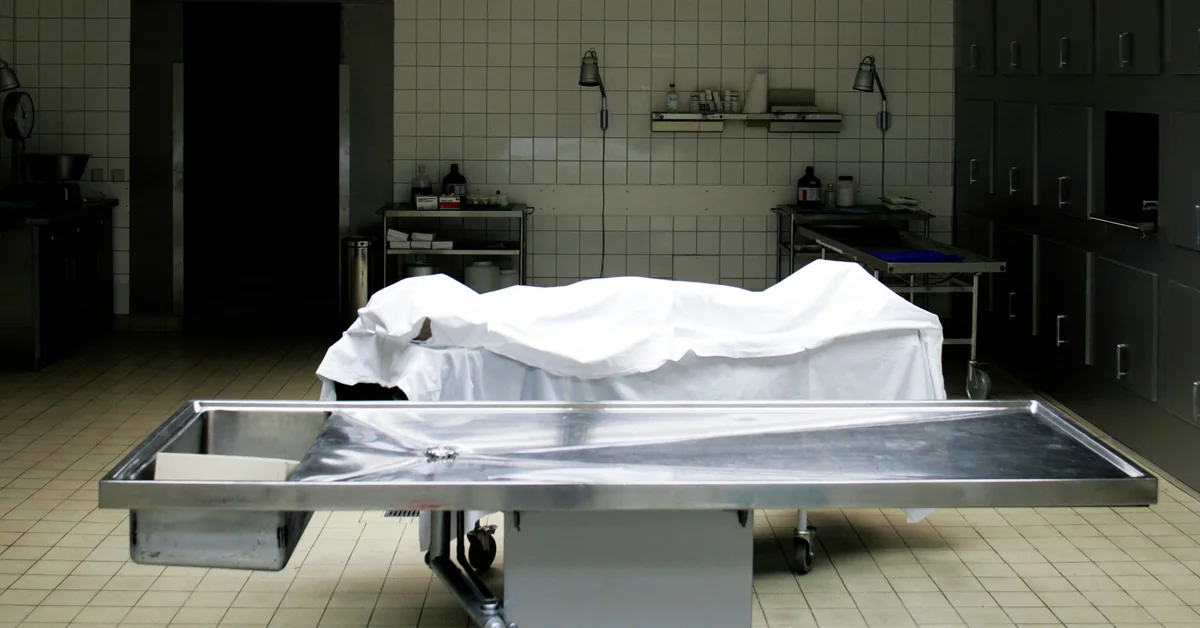 d0d188b3-3802-3c14-bff7-d4077f235650_1200