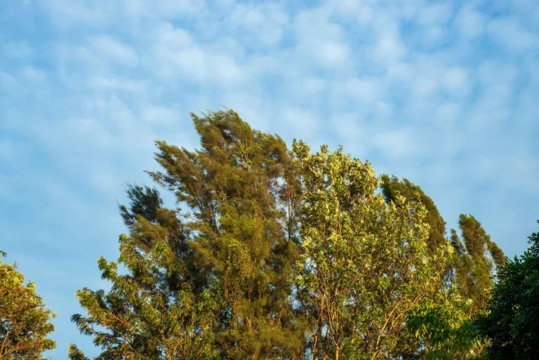 e42e49a4-5158-3bff-8cba-6c5d0bacaa14_1200