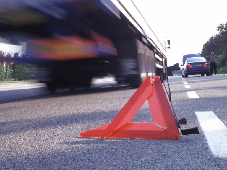 f3c93d4c-eeb2-3fc0-8314-eaf6de5756d6_1200