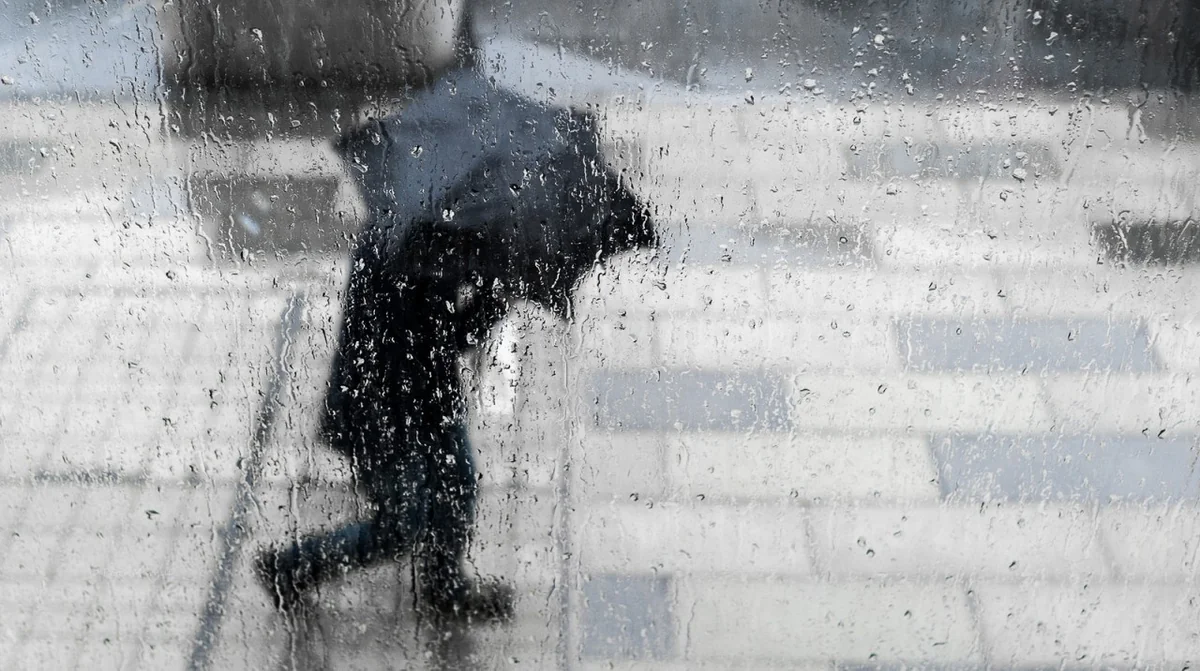 fL0qnoZDsaUhQbbgrOnIeaLpm7mwl4DsvzKguVuS_1200