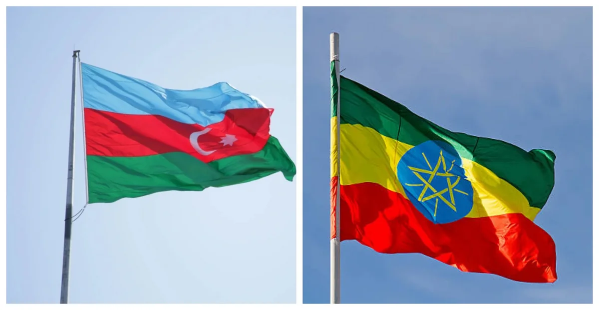 gs9RPDSiuddtj0V8drKeAQh4KZTxJddM8sHxdYP3_1200