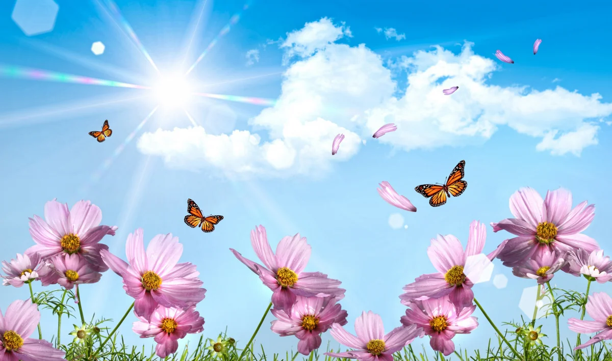 joLEmKu9NtWYKClpPAMZy0tVZQMlk8TMxWZvpC9J_1200