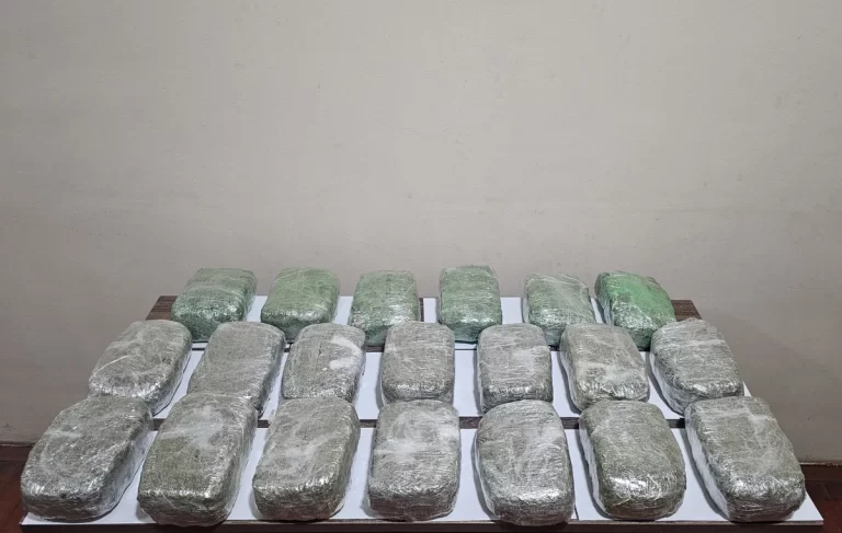 jwSrJ9bff9a5lBE5OR1UroyHFkh0KLfm2bIbUVp4_1200