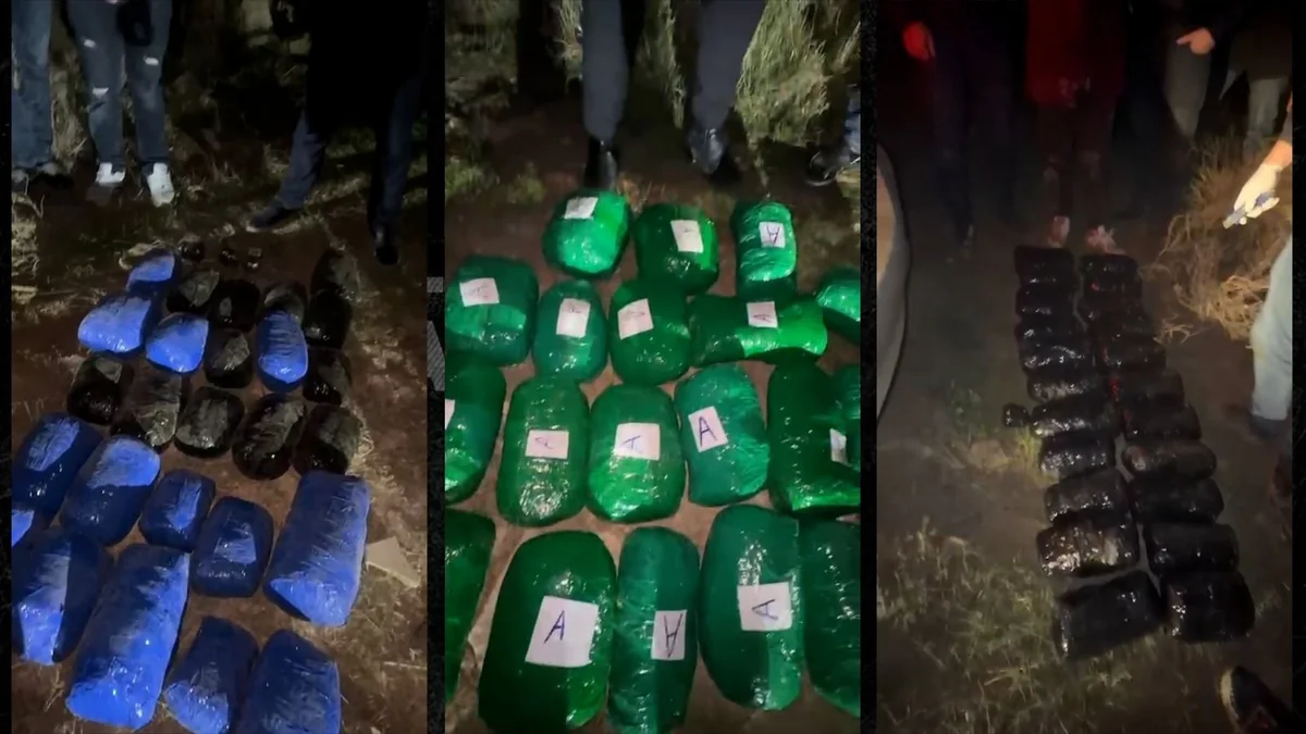 mCpgs2rmbLR00y2MluKvXmQZu3OD9pGxj1vtopMm_1200