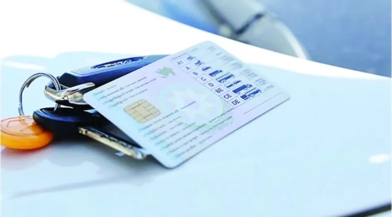 mtNb6jWPTZUTmF65PKv0yQKlJXgx1XVe8toly6TN_1200