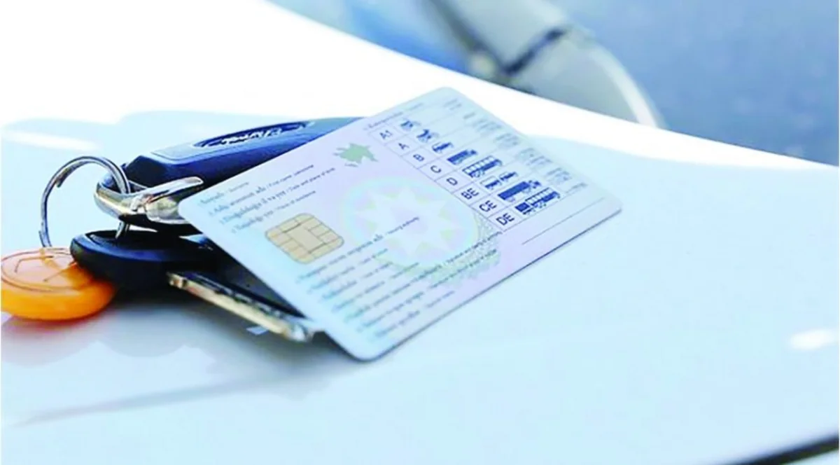 mtNb6jWPTZUTmF65PKv0yQKlJXgx1XVe8toly6TN_1200