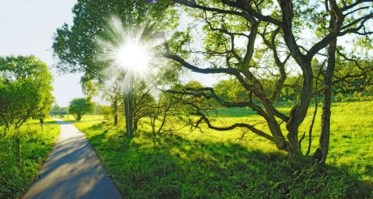 oSZO4h63h7QVOVI066UtyycICPcvMoixxyie6BDn_1200