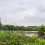 qoP5kSohFU0JSGmlrxhFBSLvB6P0LQCfN012wwWB_1200