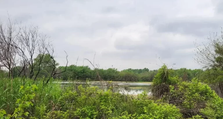 qoP5kSohFU0JSGmlrxhFBSLvB6P0LQCfN012wwWB_1200