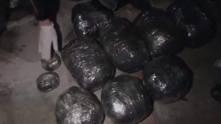 r6D7Lld95duHS2bJJY7FceCktoyKFNhQdPveiuNF_1200