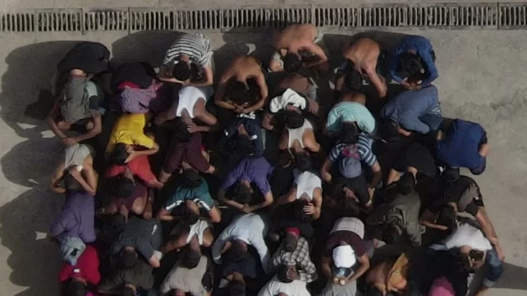 rJJY4VmANkn1RRQ1XaddpywY52ipO6zi8uX1dik6_1200