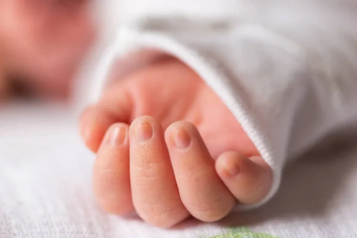 t3cq5wQO79Sg2UEhjFwtEIZXqlW4sb5FEheCn9Pg_1200