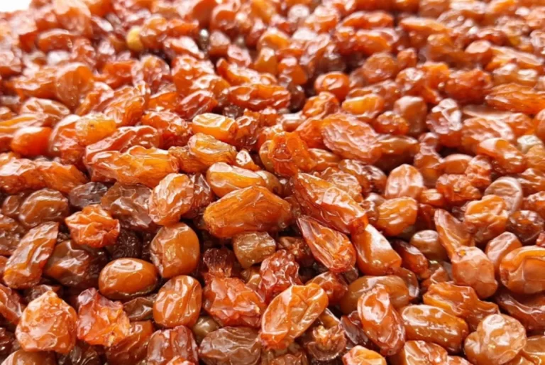 wknunifFdNplnufe8CqkETtYghxWhQGpkc2xy9vz_1200