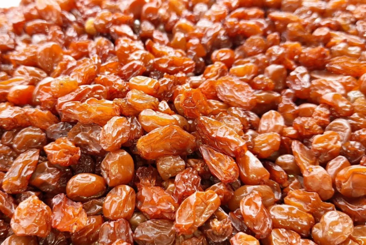 wknunifFdNplnufe8CqkETtYghxWhQGpkc2xy9vz_1200