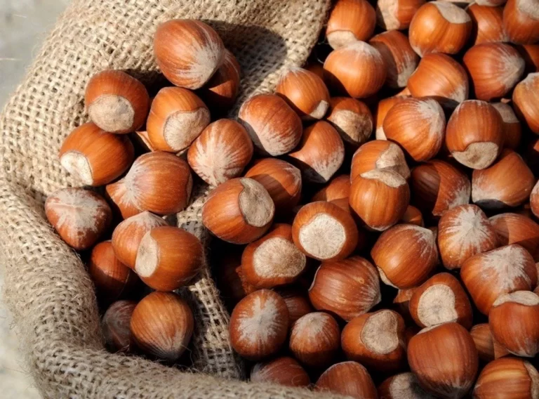 0dbad6d6-94ef-337a-9306-a6b6b3cdb51c_1200