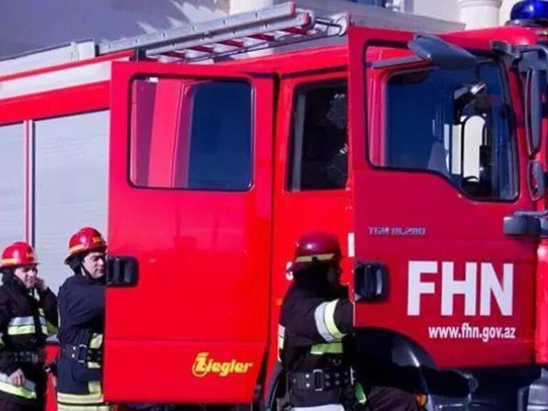 fhn